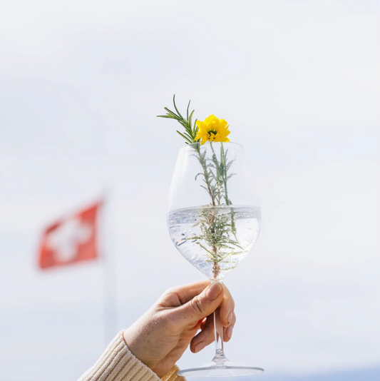 GINGER MULE │ MIX SET