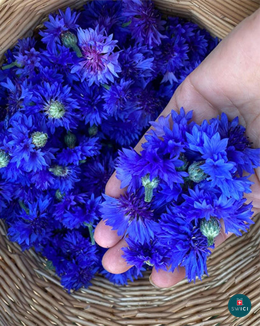 Cornflower Flower Mask