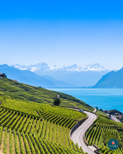 Coffret Cadeau EDITION VAUD