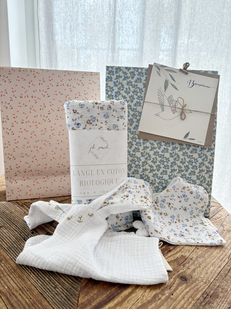Large birth gift bag 